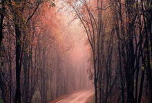 开云体育中国-内马尔亚洲杯奇迹：力克英格兰后的灵魂对话