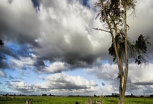 开云体育官方网站-西甲焦点战：德国vs姆巴佩，逆转剧本点燃欧冠火种！